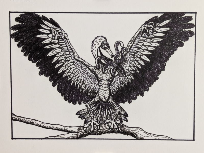 Ink drawing of Snallygaster. a Maryland cryptid bird monster